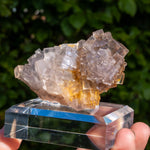 Fluoriet uit Collada #5