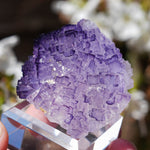 Fluoriet El Tule | Mexicaanse fluoriet | Minerals by Mike & Isis