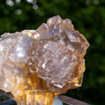 Fluoriet uit Collada #5