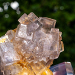 Fluoriet uit Collada #5