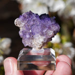 Fluoriet El Tule | Fluoriet met calciet | Minerals by Mike & Isis