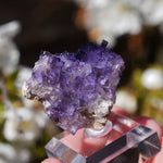 Fluoriet El Tule | Fluoriet met calciet | Minerals by Mike & Isis