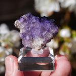 Fluoriet El Tule | Fluoriet met calciet | Minerals by Mike & Isis