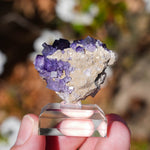 Fluoriet El Tule | Fluoriet met calciet | Minerals by Mike & Isis