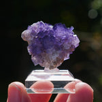 Fluoriet El Tule | Fluoriet met calciet | Minerals by Mike & Isis