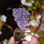 Druif agaat | Grape Agate | Minerals by Mike & Isis