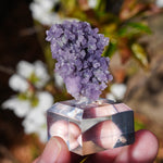 Druif agaat | Grape Agate | Minerals by Mike & Isis