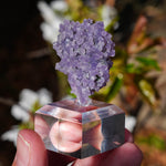 Druif agaat | Grape Agate | Minerals by Mike & Isis