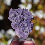 Druif agaat | Grape Agate | Minerals by Mike & Isis