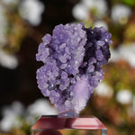 Druif agaat | Grape Agate | Minerals by Mike & Isis