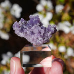 Druif agaat | Grape Agate | Minerals by Mike & Isis