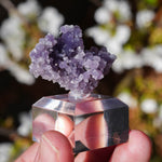 Druif agaat | Grape Agate | Minerals by Mike & Isis