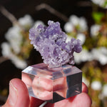 Druif agaat | Grape Agate | Minerals by Mike & Isis