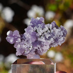 Druif agaat | Grape Agate | Minerals by Mike & Isis