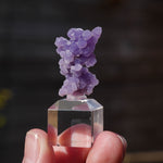 Druif agaat | Grape Agate | Minerals by Mike & Isis