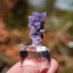 Druif agaat | Grape Agate | Minerals by Mike & Isis