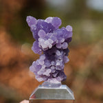 Druif agaat | Grape Agate | Minerals by Mike & Isis