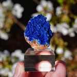 Azuriet uit Marokko | ruw mineraal steen | Minerals by Mike & Isis