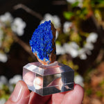 Azuriet uit Marokko | ruw mineraal steen | Minerals by Mike & Isis