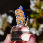 Azuriet uit Marokko | ruw mineraal steen | Minerals by Mike & Isis