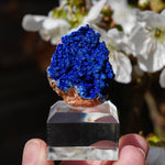 Azuriet uit Marokko | ruw mineraal steen | Minerals by Mike & Isis