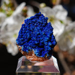Azuriet uit Marokko | ruw mineraal steen | Minerals by Mike & Isis