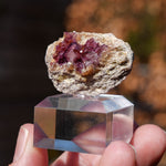 Fluoriet Erzengel Mijn | Hausach Duitsland | Minerals by Mike & Isis