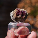 Fluoriet Erzengel Mijn | Hausach Duitsland | Minerals by Mike & Isis