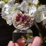 Fluoriet Erzengel Mijn | Hausach Duitsland | Minerals by Mike & Isis