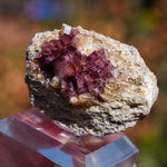Fluoriet Erzengel Mijn | Hausach Duitsland | Minerals by Mike & Isis