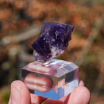 Fluorite Burtree Slits UK
