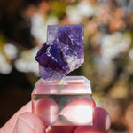 Fluorite Burtree Slits UK