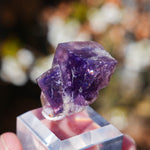Fluorite Burtree Slits UK