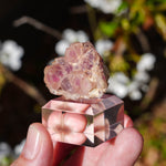 Roze fluoriet | New Mexico | Minerals by Mike & Isis