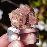 Roze fluoriet | New Mexico | Minerals by Mike & Isis