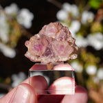 Roze fluoriet | New Mexico | Minerals by Mike & Isis