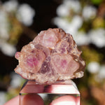 Roze fluoriet | New Mexico | Minerals by Mike & Isis