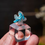 Cavansiet India | Blauw mineraal | Minerals by Mike & Isis