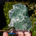 Suiker fluoriet cluster #13