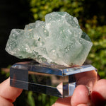 Suiker fluoriet cluster #2