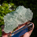 Suiker fluoriet cluster #2
