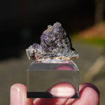 Fluoriet Lavrion | Fluoriet Kristal | Minerals by Mike & Isis