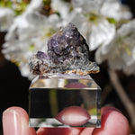Fluoriet Lavrion | Fluoriet Kristal | Minerals by Mike & Isis