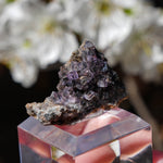 Fluoriet Lavrion | Fluoriet Kristal | Minerals by Mike & Isis