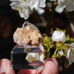 Fluoriet Cordoba | Andalusië fluoriet | Minerals by Mike & Isis
