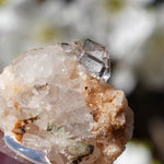 Fluoriet Cordoba | Andalusië fluoriet | Minerals by Mike & Isis