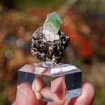 Groene Apofyliet | Apofyliet kopen | Minerals by Mike & Isis