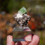 Groene Apofyliet | Apofyliet kopen | Minerals by Mike & Isis