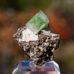 Groene Apofyliet | Apofyliet kopen | Minerals by Mike & Isis
