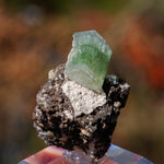 Groene Apofyliet | Apofyliet kopen | Minerals by Mike & Isis